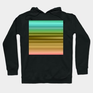 Elegant rainbow stripes Hoodie